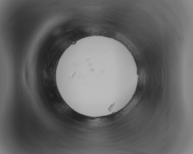 X0000102300430200808221425