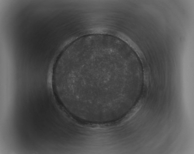 X0000102300434200808221424
