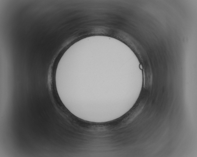 X0000102300435200808221424