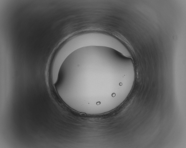 X0000102300436200808221424