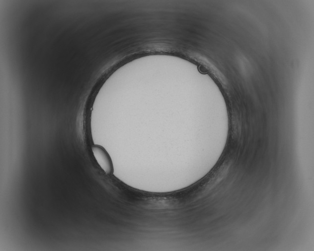 X0000102300439200808221424