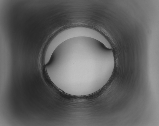 X0000102300444200808221424
