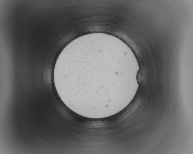 X0000102300445200808221424