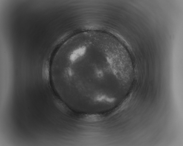 X0000102300446200808221424