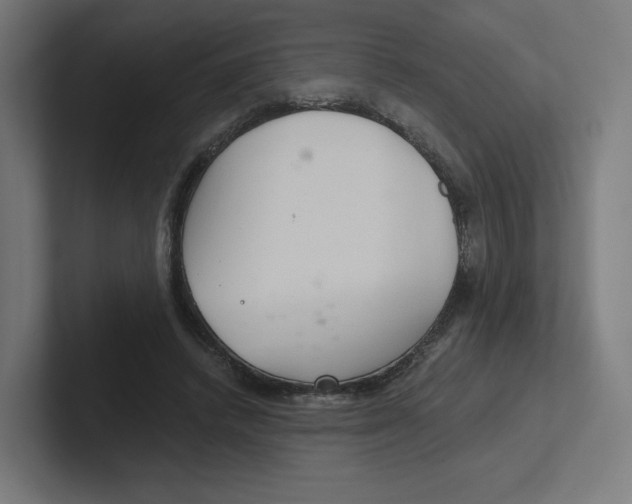X0000102300448200808221424