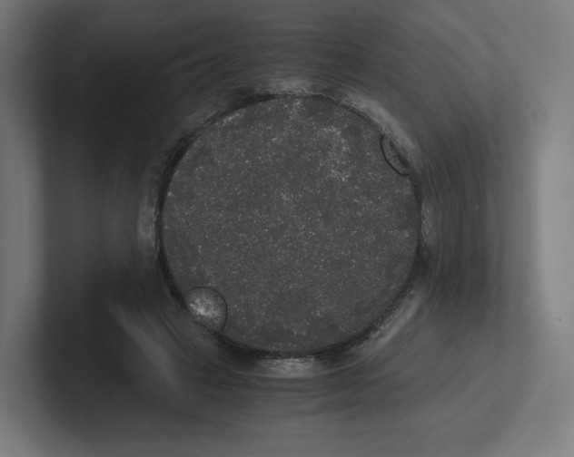 X0000102300449200808221424