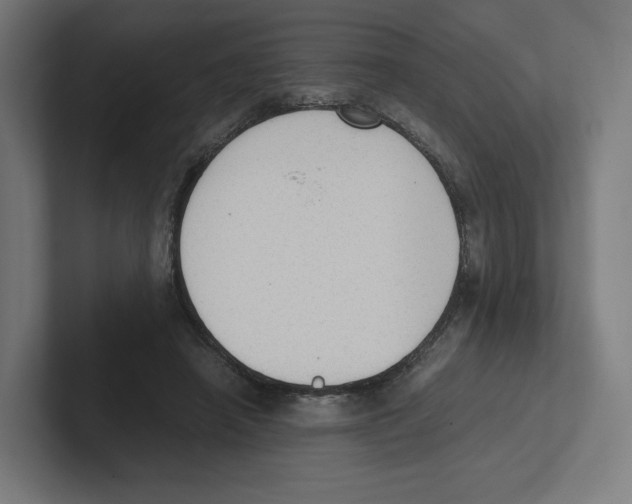 X0000102300450200808221424