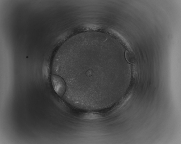 X0000102300451200808221424