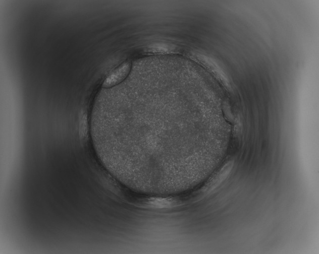 X0000102300457200808221424
