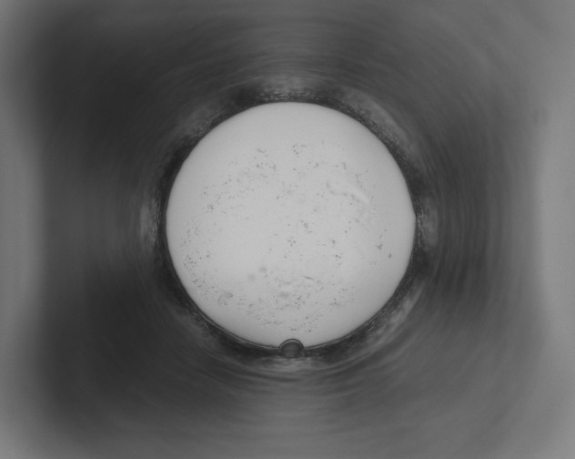 X0000102300458200808221424