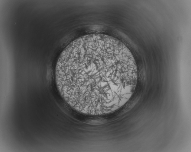 X0000102300459200808221424