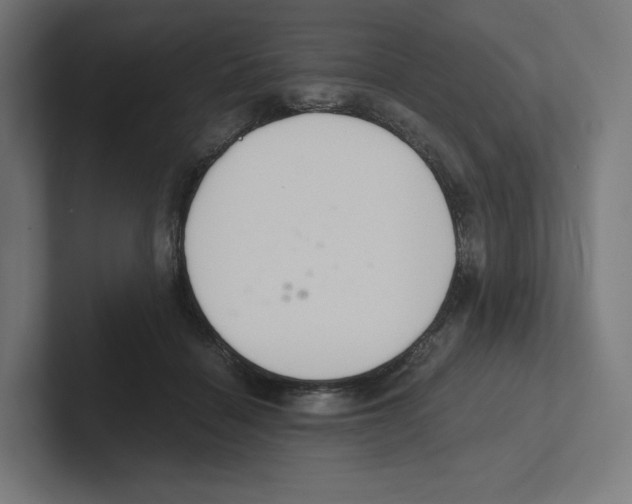 X0000102300460200808221424