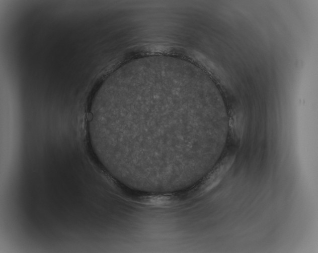 X0000102300462200808221424