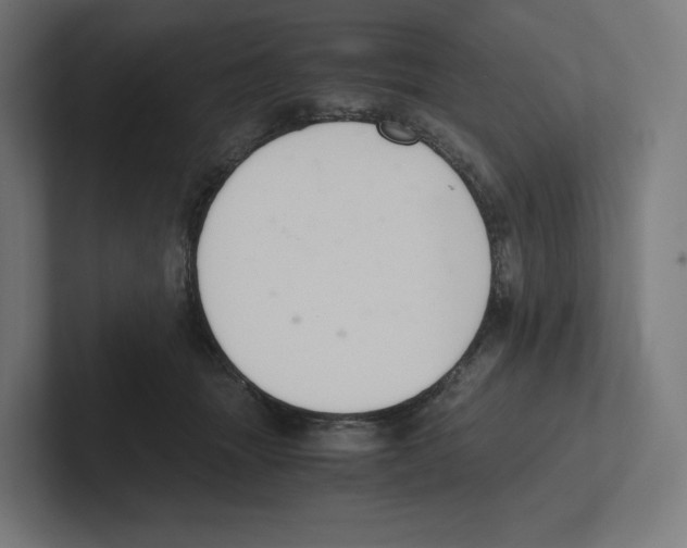 X0000102300463200808221424