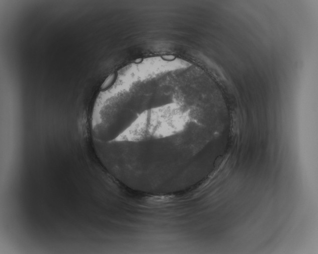 X0000102300465200808221424