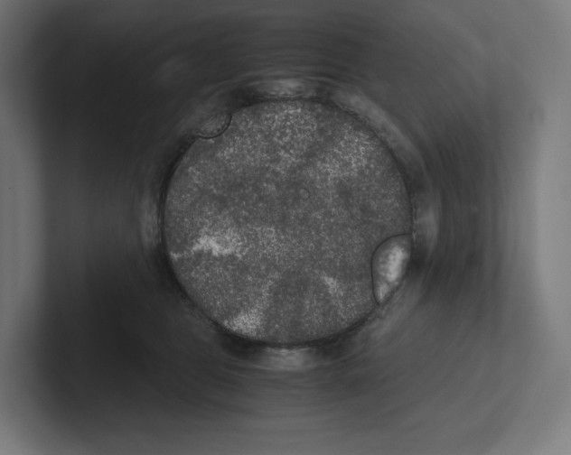 X0000102300469200808221424