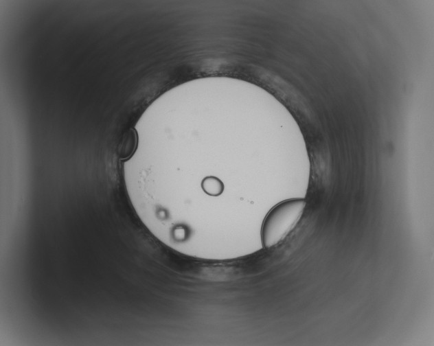 X0000102300470200808221424