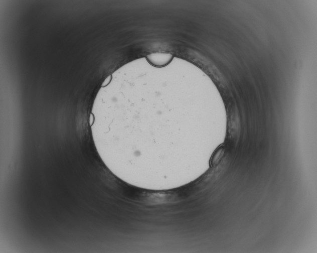 X0000102300473200808221424