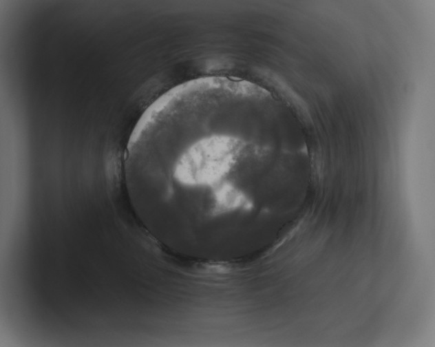 X0000102300475200808221424