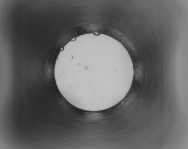X0000102300476200808221425