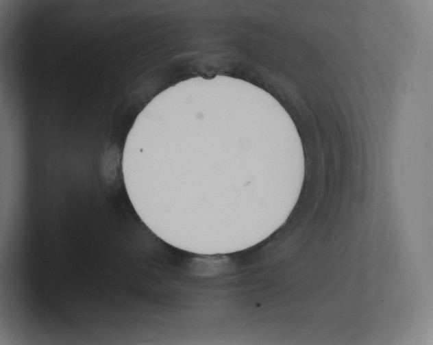 X0000102300480200808221425