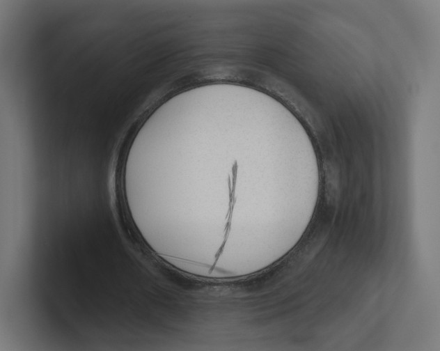 X0000102300482200808221424