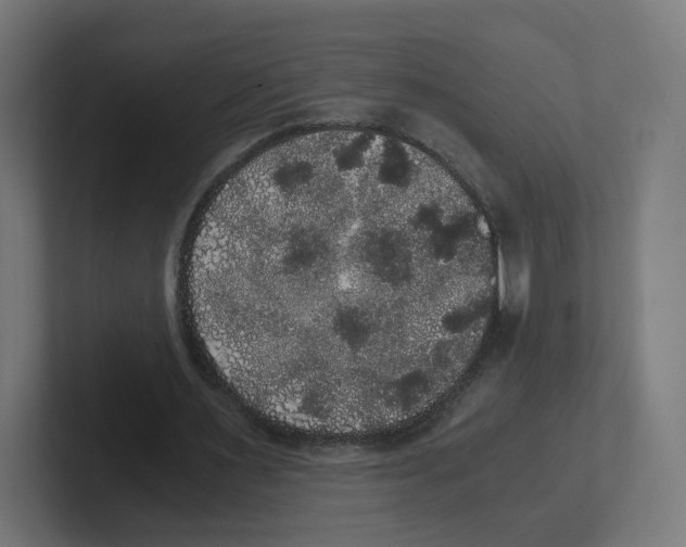 X0000102300483200808221424