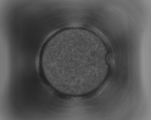 X0000102300484200808221424