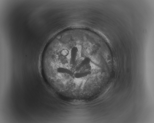 X0000102300487200808221424