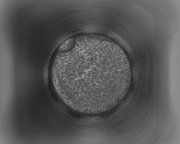 X0000102300488200808221424
