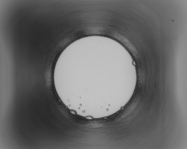 X0000102300489200808221424