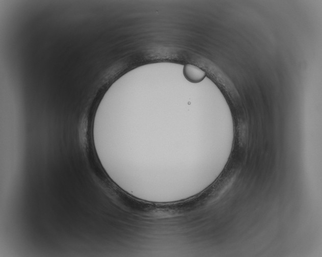 X0000102300490200808221424