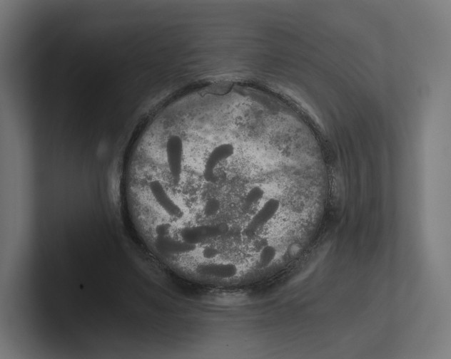 X0000102300491200808221424