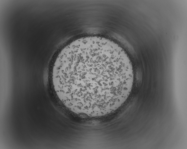 X0000102300492200808221424