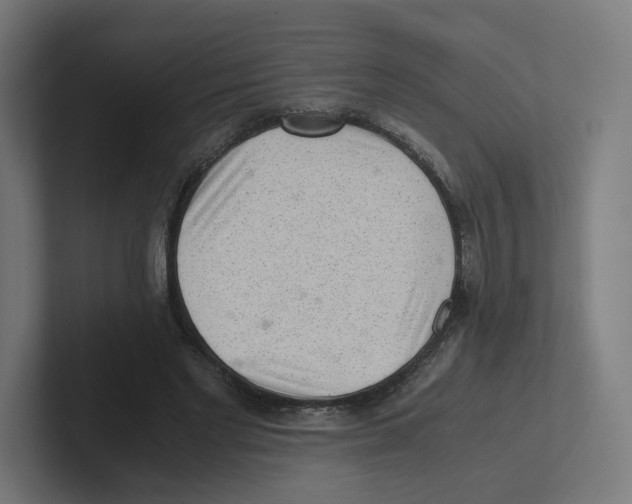 X0000102300493200808221424