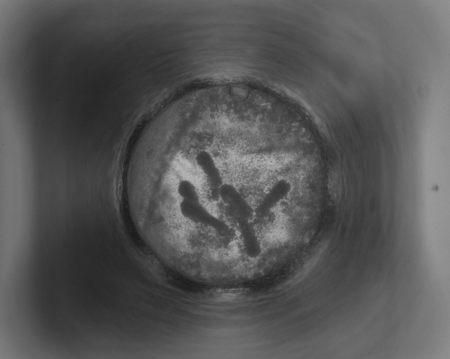 X0000102300495200808221424