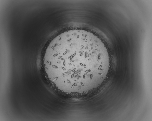 X0000102300496200808221424
