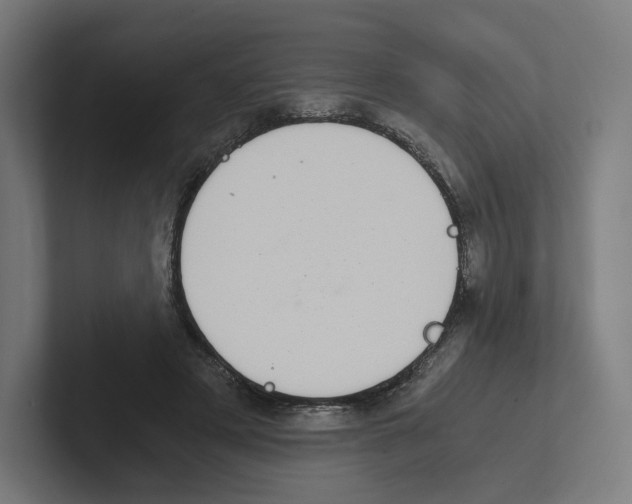 X0000102300497200808221424