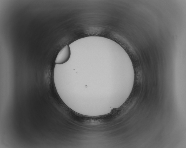 X0000102300498200808221424