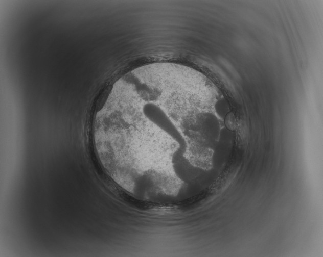 X0000102300499200808221424