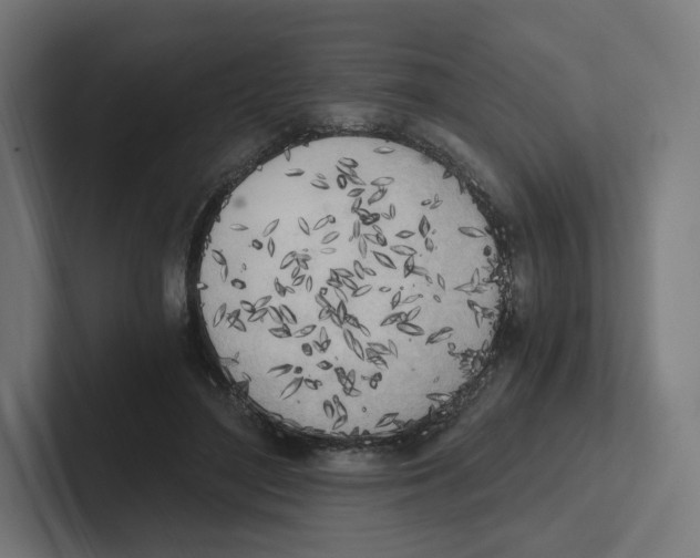 X0000102300500200808221424