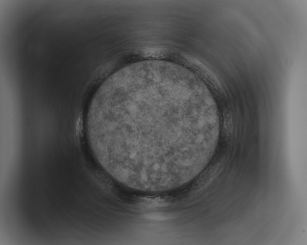 X0000102300502200808221424