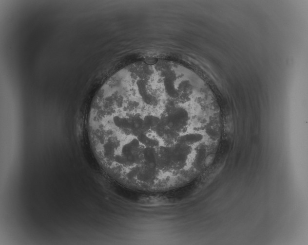 X0000102300503200808221424