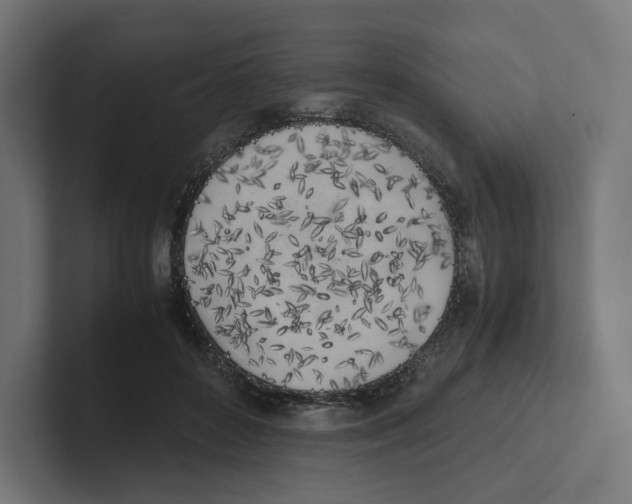 X0000102300504200808221424