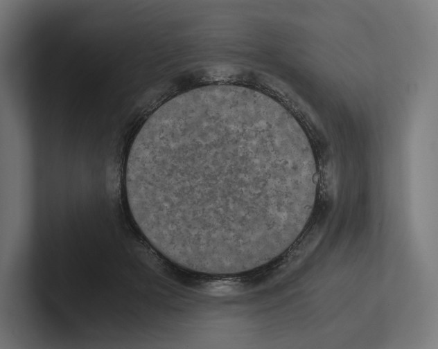 X0000102300505200808221424