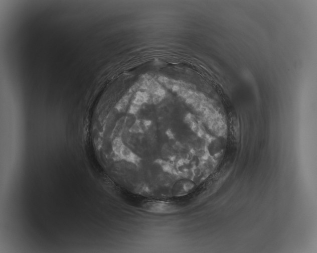 X0000102300507200808221424