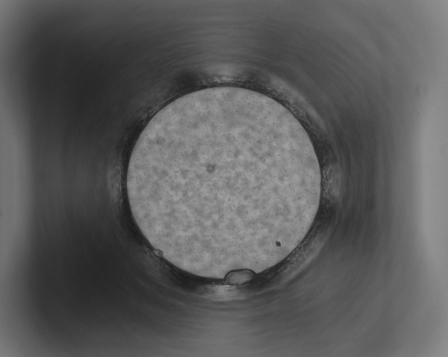 X0000102300509200808221424