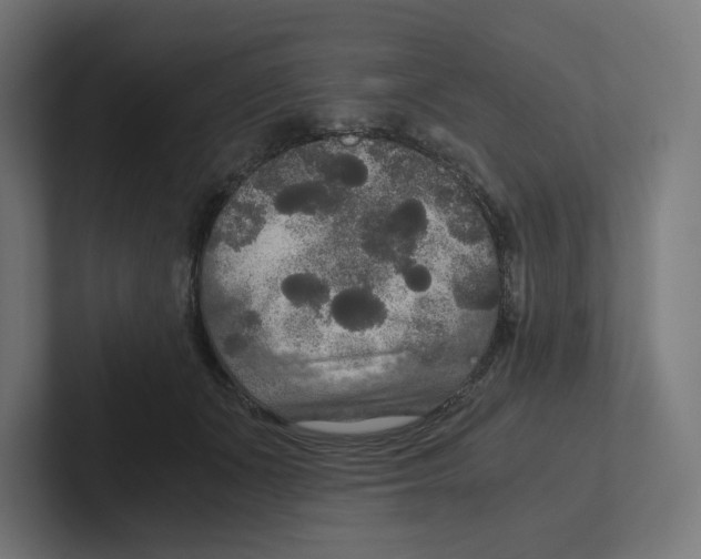 X0000102300511200808221424