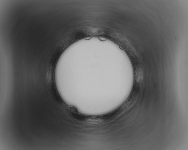 X0000102300515200808221423