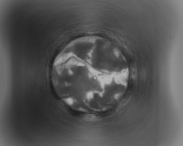 X0000102300519200808221423